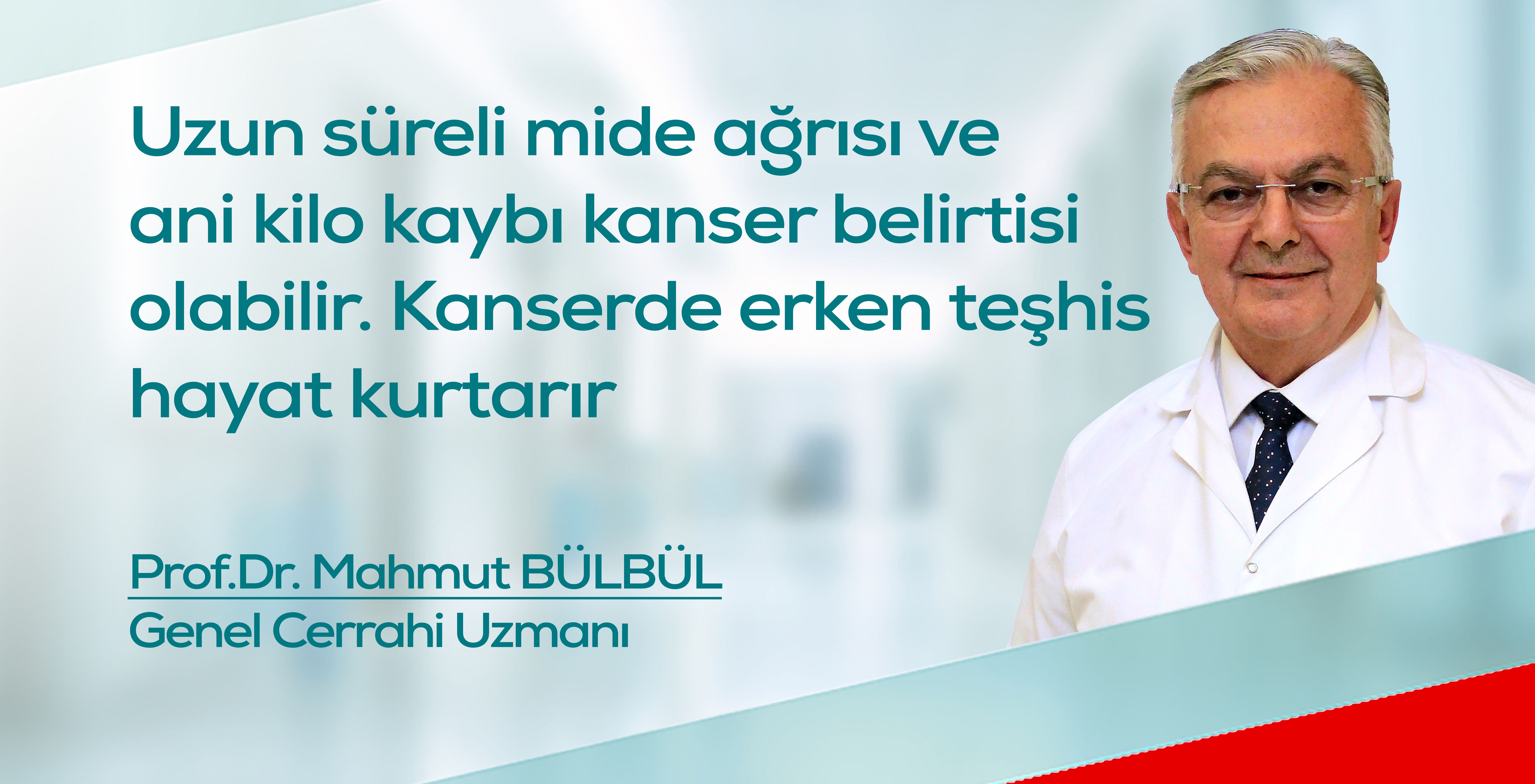 mbulbul