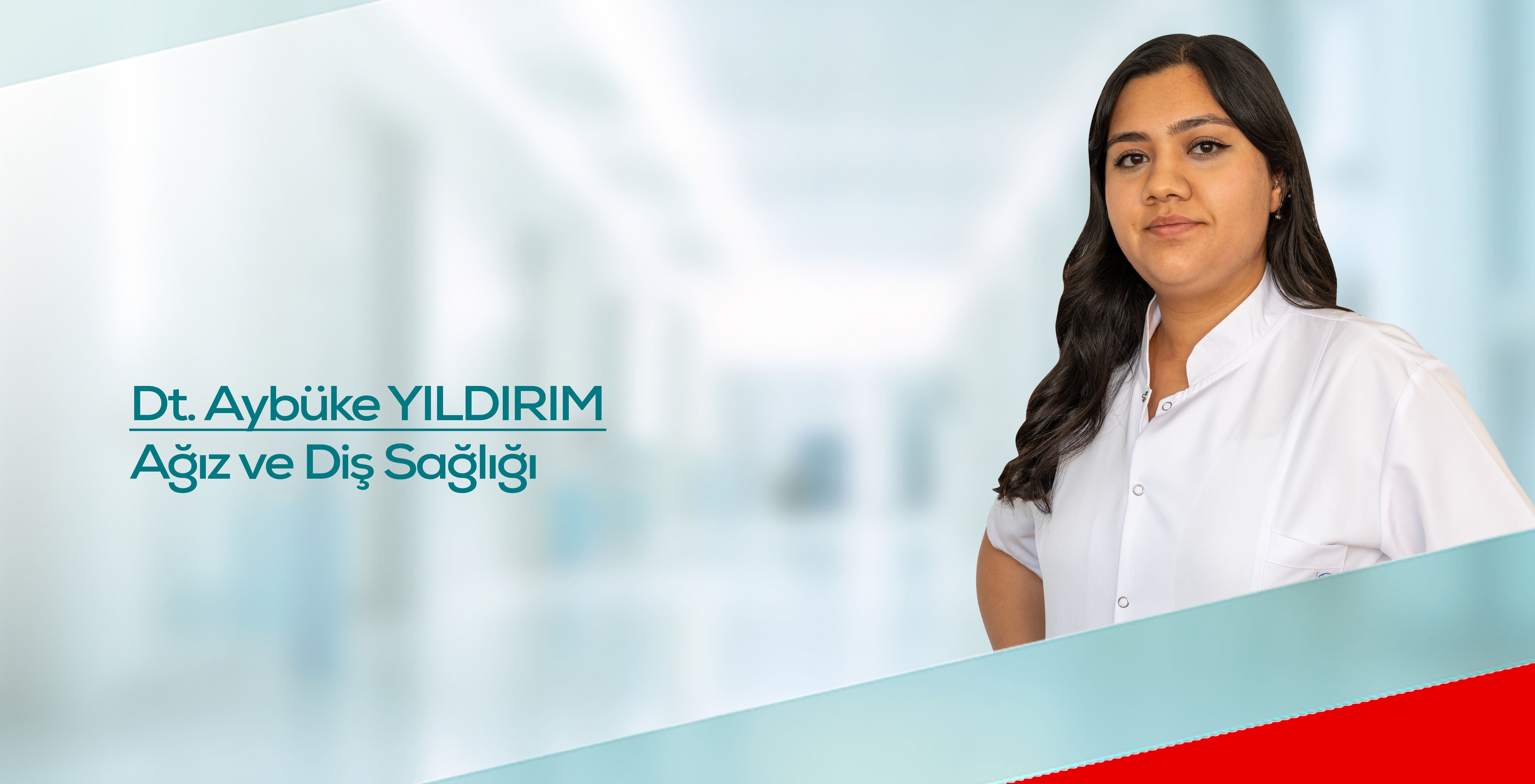 aybuke